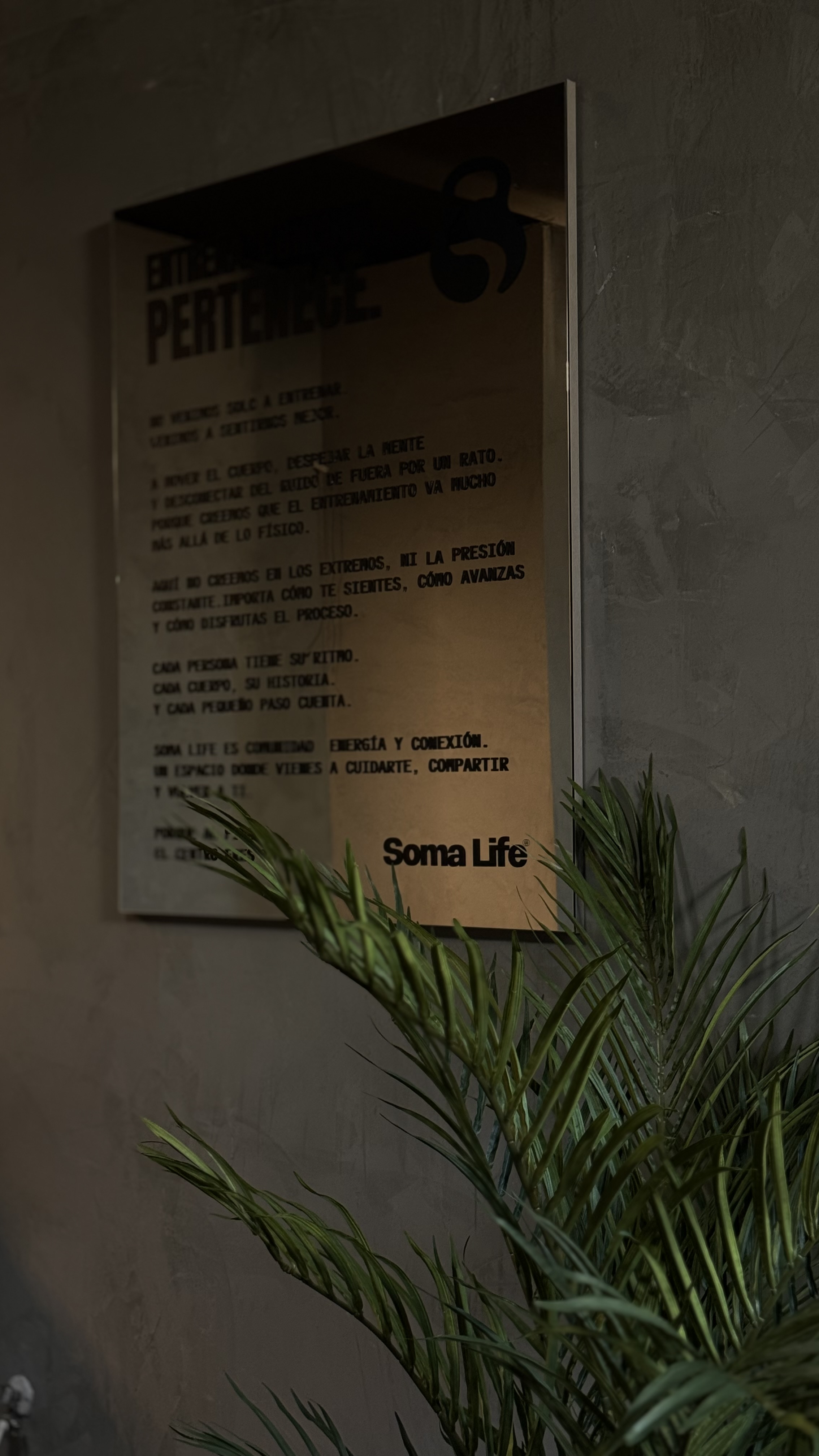 Manifiesto de Soma Life